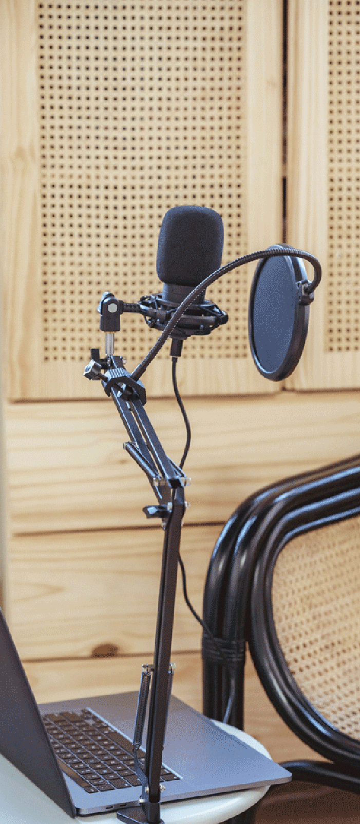 Illus_site_web_canard_2022-89