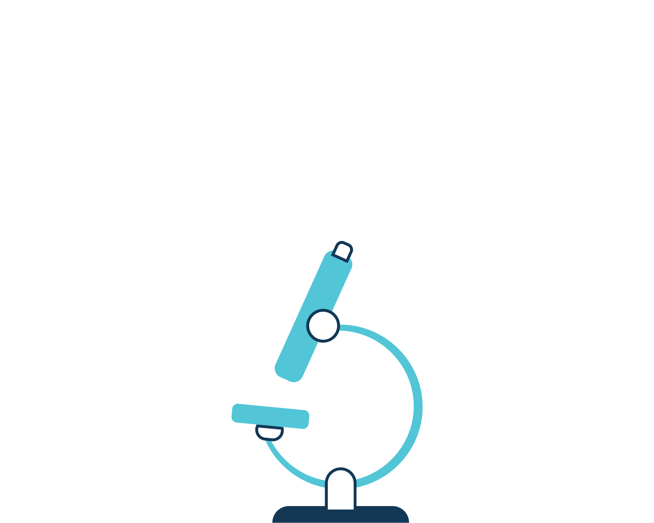 Illus_site_web_canard_2022_agence_expertise